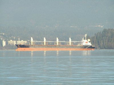 o20091202_234_std.jpg