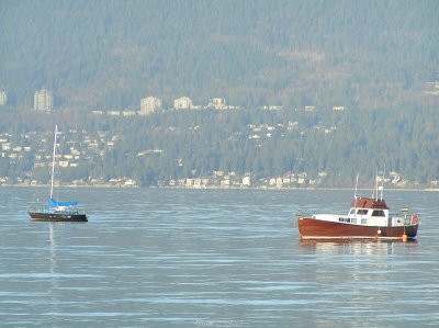 o20091202_236_std.jpg