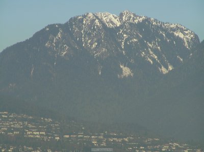 o20091202_238_std.jpg