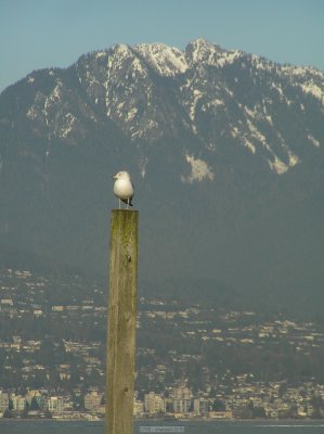 o20091202_247_std.jpg