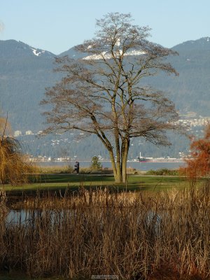 p20091202_221_std.jpg