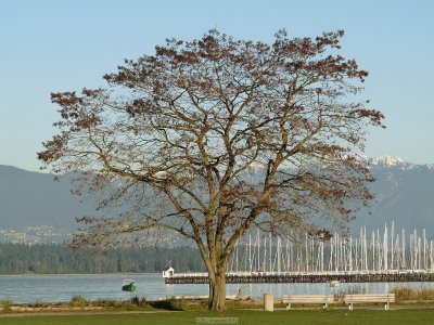 p20091202_265_std.jpg