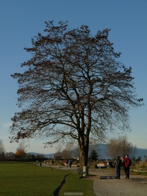 p20091202_291_std.jpg