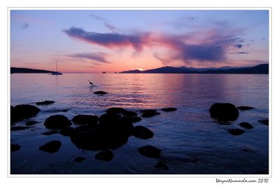 Sunset and friend (F70EXR)