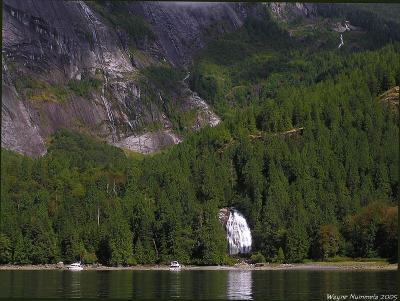 p8175619a_std.jpg