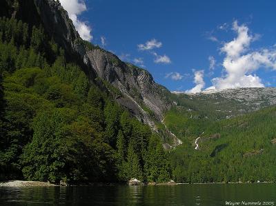 p8175693_std.jpg