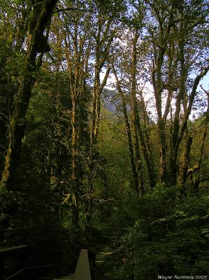 p8175721a_std.jpg