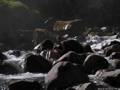 p8175790_std.jpg