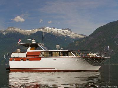 p8195983a_std.jpg