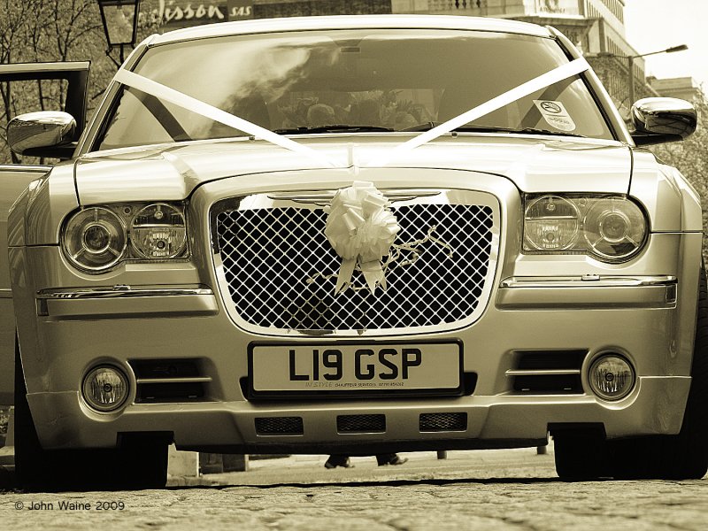 Beautiful Bridle Bentley