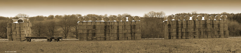 Art or Haystack? (best viewed at original)
