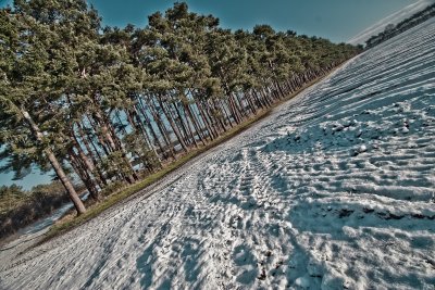 Snow Field