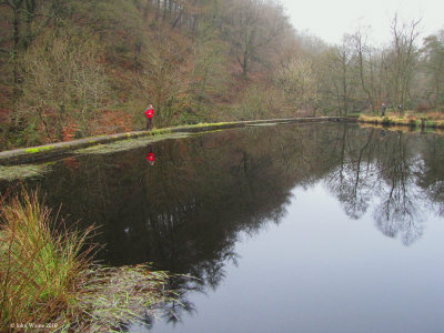 Gibson Mill Pond 2