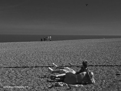 Squawking Bird Disturbs Lovers