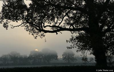 20051213 Foggy Sunrise