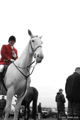 20051228 Huntsman on Grey Horse