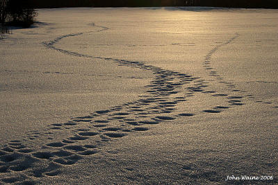 20060323 Snowy Wrotislavian Sundown