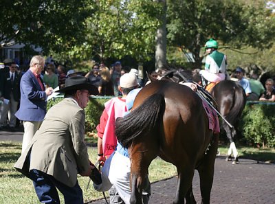 IMG_513661.jpg