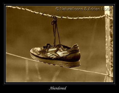 Shoe on Wire