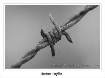 Barb Wire and Threads