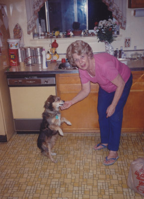 g3/94/519894/3/120674787.e0IPS0CW.jpg