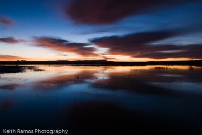 Bosque del Apache NWR