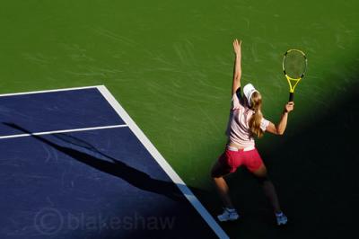 g3/94/546394/3/58827558.dementieva6copy.jpg