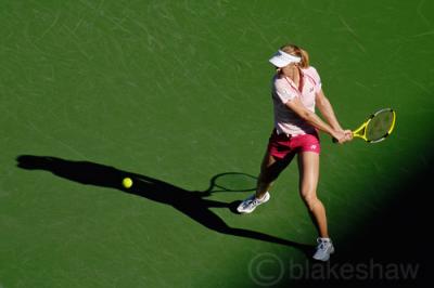 g3/94/546394/3/58827604.dementieva5copy.jpg