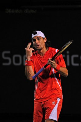 David Ferrer