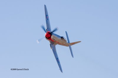 _MG_2948.jpg