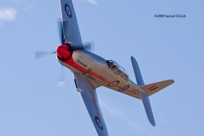 _MG_3068.jpg