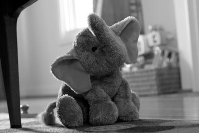 IMG_8187.JPG