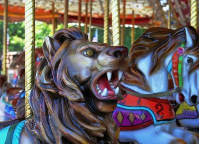 IMG_5017_web.jpg