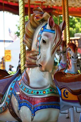 IMG_5021_web.jpg