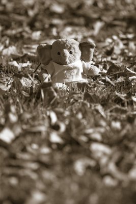 613F0147_bw_web.jpg