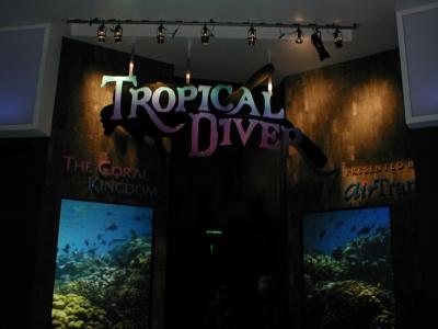 Tropical Diver Exhibit