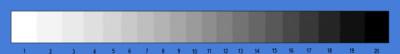 GreyScale.jpg
