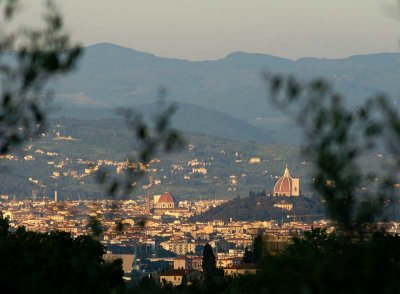 View of Florence 9949.jpg