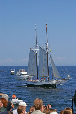 Madelaine 0693.jpg