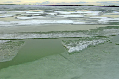 Cedar Lake Ice 4559.jpg