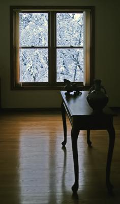 Snowy Window  3658.jpg
