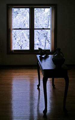 Snowy Window 3658.jpg