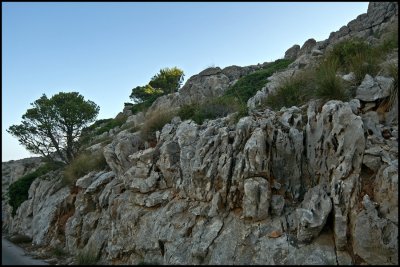 Cap Formentor At Sunrise