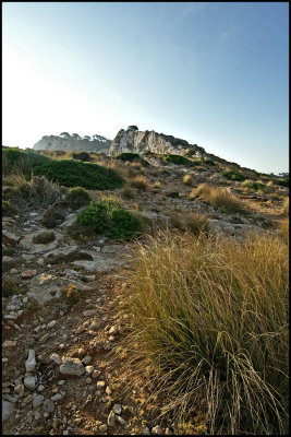 Cap Formentor At Sunrise