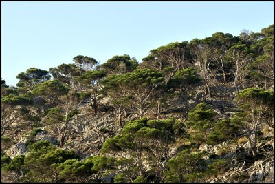 Cap Formentor At Sunrise