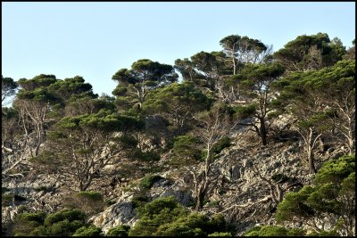 Cap Formentor At Sunrise