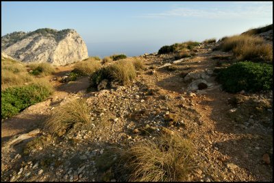 Cap Formentor At Sunrise