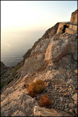 Cap Formentor At Sunrise