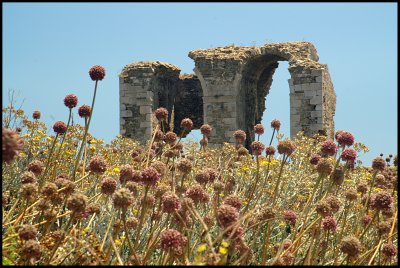 arches and onions