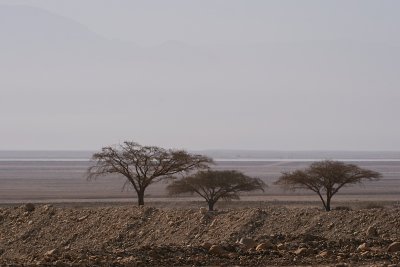 Dead Sea